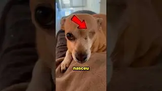 Ele nasceu com apenas um OLHO! 