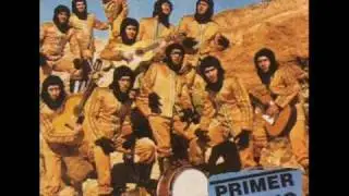 Los simios - presentacion