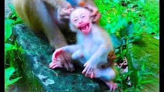 S-ad Facial Of Baby LEO Was C-rying L0udly For Mom St0p !!Mom's Behavior  Is Making Baby LEO H-ardly