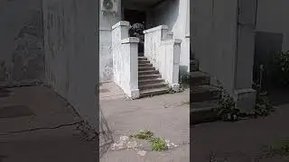 Типичный Петербург