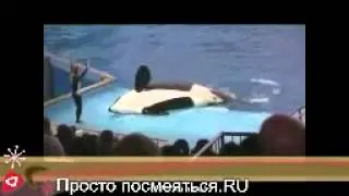 Ой, не увидел