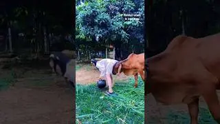 Ziddi Police 😜 amazing funny video #comedy #funny #police #trending