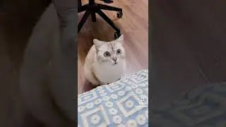 Ты зачем себе ногти стрижёшь?