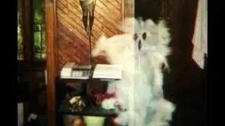 5 Unexplained Paranormal Photos To Give You The Creeps