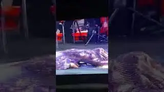 💃💞 Dansöz Didem Kınalı - Best Belly Dancer - Hürrem - Firuze - Magnificent Century 
