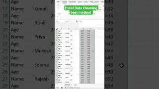 Data Cleaning in Excel | 