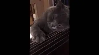 Поговори хоть ты…