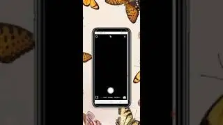 Gifs fofos para stories