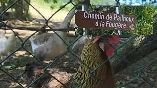 Balade sur le chemin de Pailhoux .