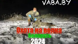 Охота на волка