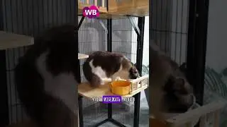 Находки на wildberries 