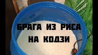 Брага на кодзи лучший рецепт. Рис и кодзи