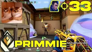 PRIMMIE NEVER MISSES - TLN Primmie [APAC]