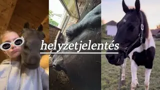 Helyzetjelentés! | 𝐻𝐴𝑙𝑖