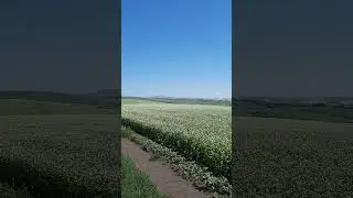 13 июля 2024 г.