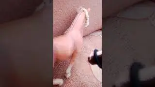 А гонь часьть3