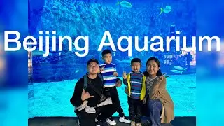Vlog #28 Бээжин аялал парт 2 (Beijing Aquarium)