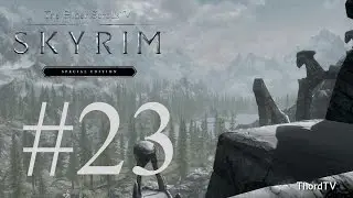 Skyrim SE #23 with Console friendly mods