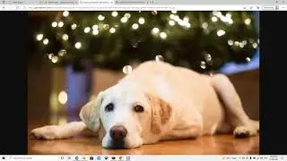 How to insert image in jupyter notebook