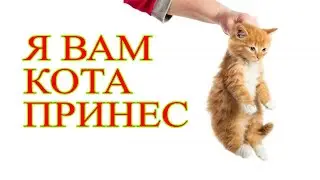 Юлиус. Ночной ты-гы-дык в Хроники Хаоса Мобильная 