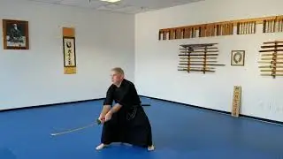 Charles Barrett and Michael Flynn Kata Practice