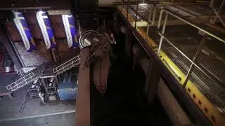 Make Bows Not War Destiny 2 Bow Guide