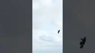 Kitesurfing #kitesurf #denmark