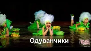 Танцевальная школа 