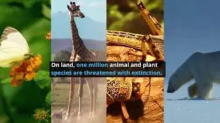 Turning biodiversity loss into value through natural resource management