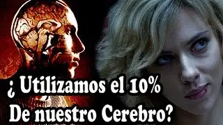 ¿Sólo Utilizamos el 10% de nuestro Cerebro? | Analisis investigativo