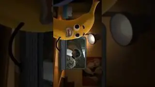 Watching this for the 100th time (ENHYPEN version)