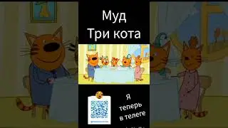 муд три кота 