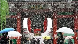 Japan Snow (Глюк’oZa 