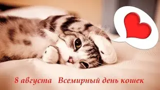 8 августа   Всемирный день кошек Поздравление