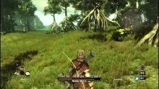 (19) Паутина для мамочки - ArcaniA : The Complete Tale