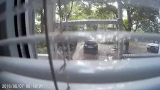 Утренний гость :)