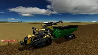 The Soybean Cycle #5 - Part I: Harvest time!