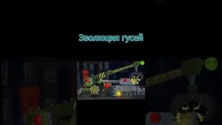 Эволюция гусей, геранд 