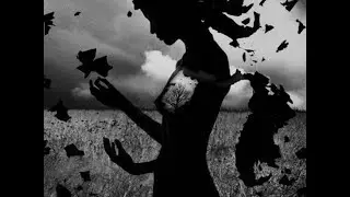 Целительский Сеанс с Отзывом [14]