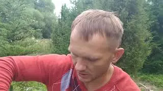 What you need to grow trout!
