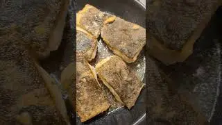 Угольная рыба (черная треска)