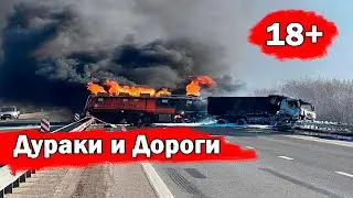 Дураки и дороги 2023