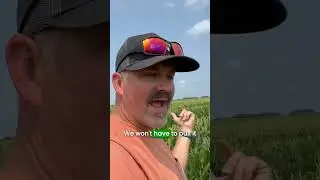 LEAADFarms #corn #farming