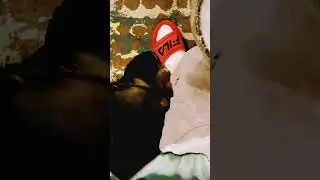 Shock Value Snippet Freestyle OPTIONGETMONEY Subscribe noworStfu