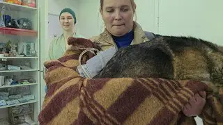 Где взять волшебную таблетку от всех болезней?