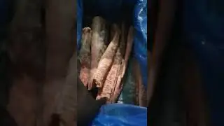 Креветочная рыба