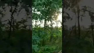Не обидел я ничем. Сколько можно, обр. Юрий Шатунов.