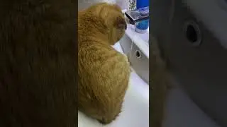Ооо тёпленькая пошла !