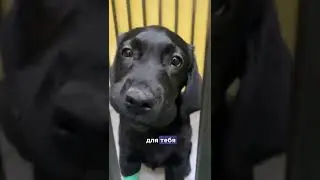 Кому нужен такой друг?