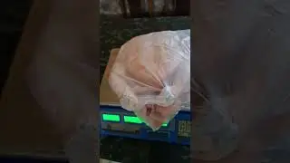 замечательные тушки бройлеров